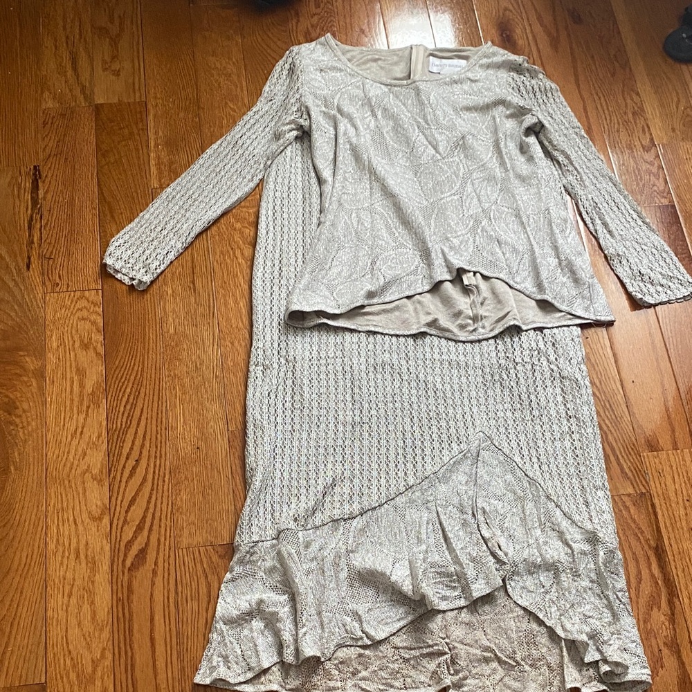 David's Bridal Shimmering Silver Gown